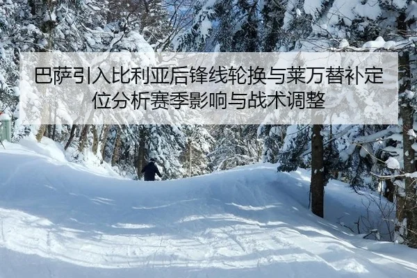 ba-sa-yin-ru-bi-li-ya-hou-feng-xian-lun-huan-yu-lai-wan-ti-bu-ding-wei-fen-xi-sai-ji-ying-xiang-yu-zhan-shu-tiao-zheng-3-567.jpg
